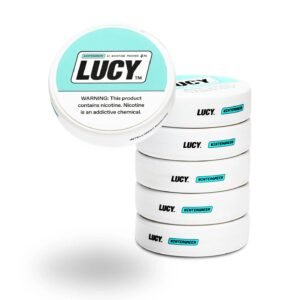 Lucy Chewing Tobacco 4mg Pouch – 5ct